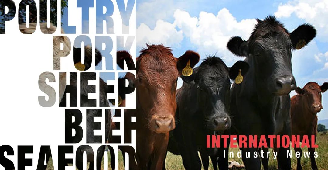 测试-牛.jpg 图片